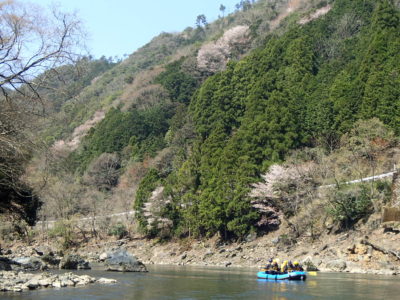 桜の咲く保津川ラフティングコース